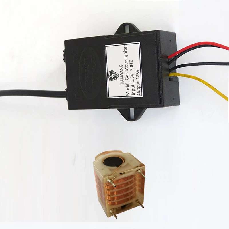 Igniter vs Ignition Coil
