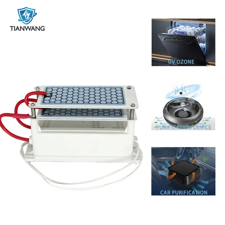Generatore di ozono da 10 g per ozonizzatore per auto